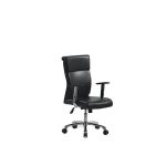 صندلی طبی گلدسیت مدل تینو E220 - تصویر 3