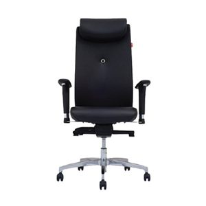 صندلی مدیریتی نیلپر OCM 910