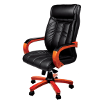 صندلی مدیریتی راحتیران T 35-80