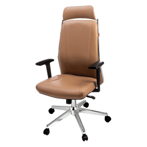 صندلی مدیریتی راحتیران T 81-10