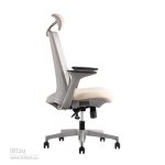 صندلی کارشناسی لیو - I81zu