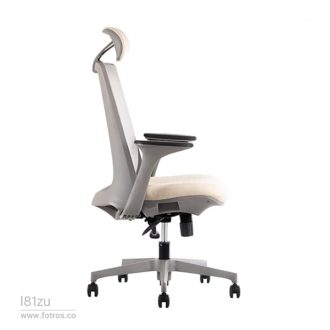 صندلی کارشناسی لیو - I81zu