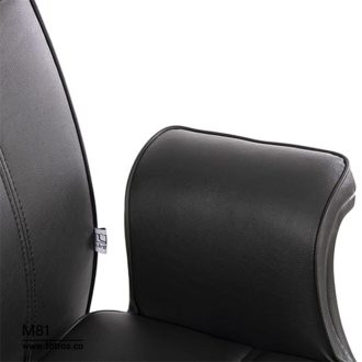 صندلی دسته ثابت لیو M81